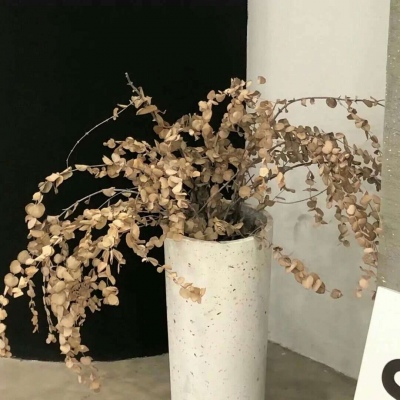 井陉矿FurryQQ群介绍